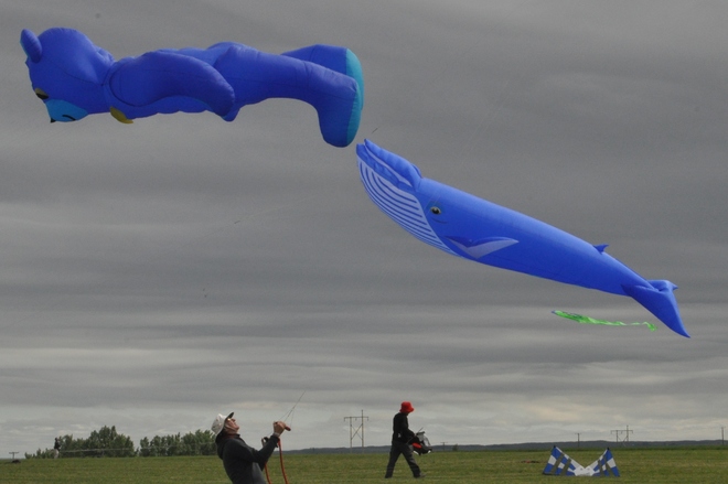 Cloudy with a Chance of Whales Rosthern, SK