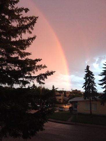 Rainbow Calgary, ab