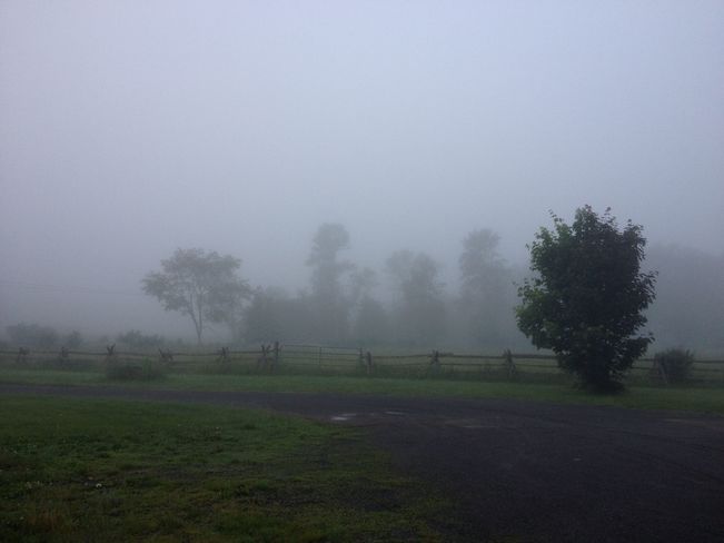 misty morning landscape Harrowsmith, ON