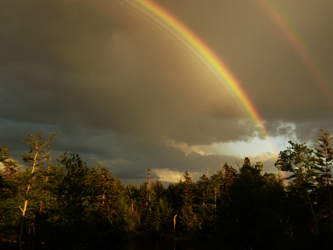 eagle viewing the stunning double rainbow Mineville, NS
