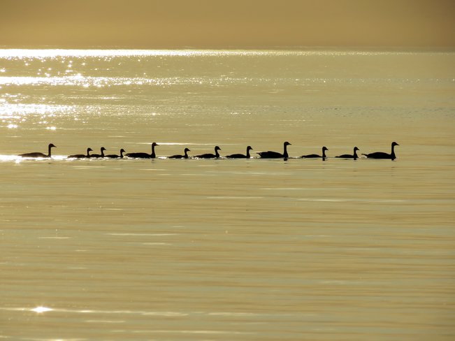 In a row! Bayfield, Bluewater, Ontario