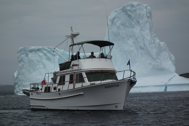 iceberg Lewisporte, NL