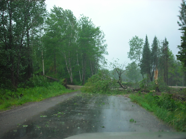 Trees downed by Hurricane Arthur winds Unnamed Road, McAdam, NB E6J, Canada