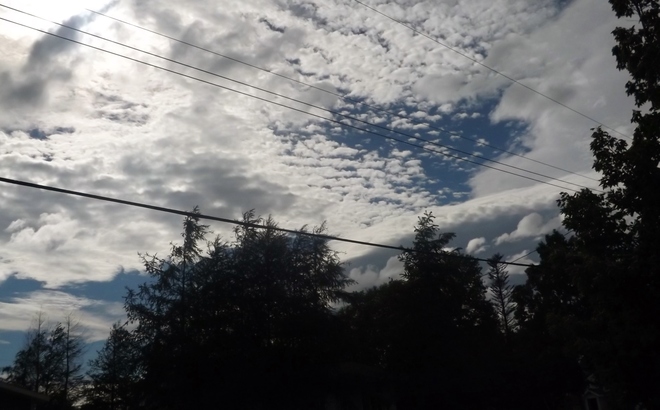Clouds of today Pasadena Nl Pasadena NL