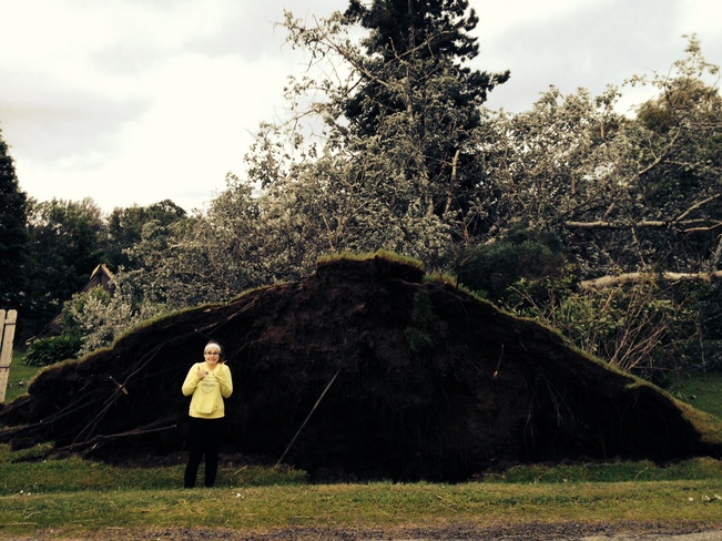 Arthur takes down big tree!! Windsor, Nova Scotia Canada
