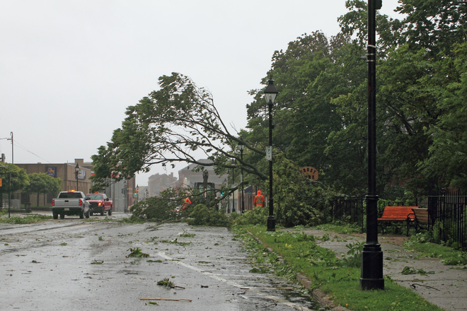 Tree Blows Down Across Main Street, Yarmouth Yarmouth, Nova Scotia