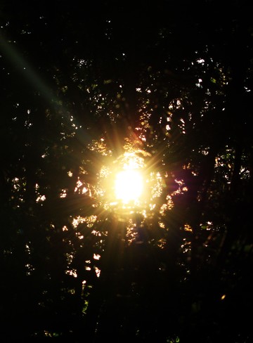 The light from the sun.Sunset. calgary,ab