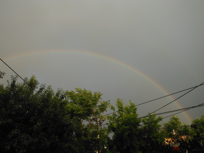 Rainbow Hamilton, ON