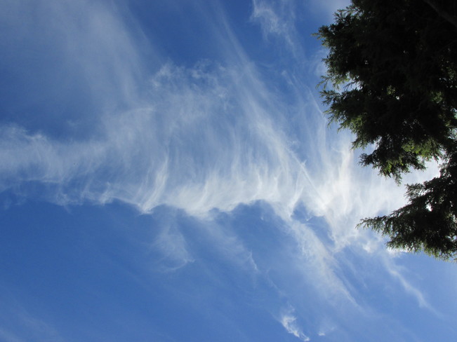 paint-strokes sky Surrey, BC