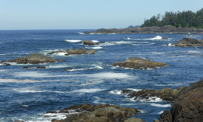 The wild west coast of Vancouver Island Ucluelet, BC