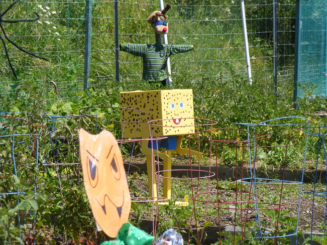 Best Scarecrow Contest Saint John, NB