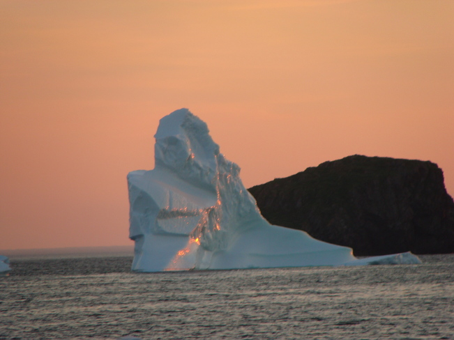 Triptych of icebergs! Back Harbour, Twillingate, NL