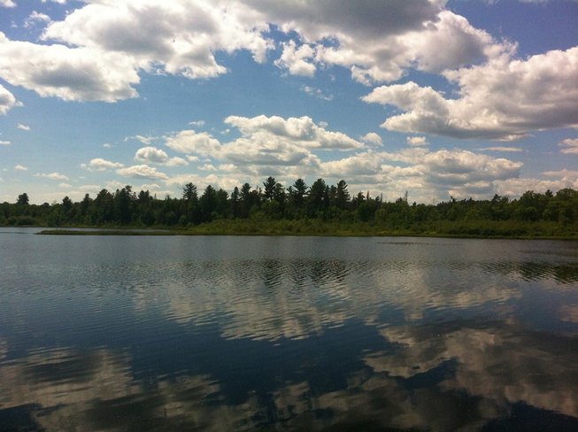 beautiful day Tilden Lake, ON