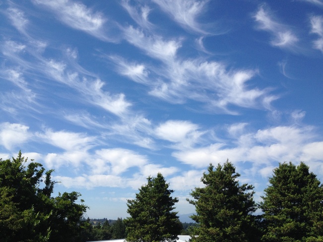 Mare's tail clouds Abbotsford, British Columbia Canada