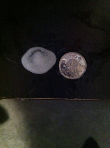 Nickels sized hail Airdrie, Alberta Canada