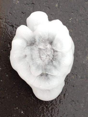 rose shaped hail Airdrie, Alberta Canada