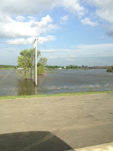 flood from assinboine river :0 Brandon, Manitoba Canada