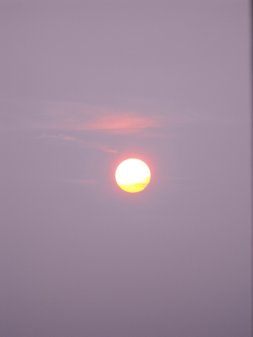 Sun rising through the fog Windsor, ON