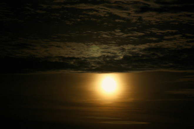 beautiful orange moon Berwick, NS