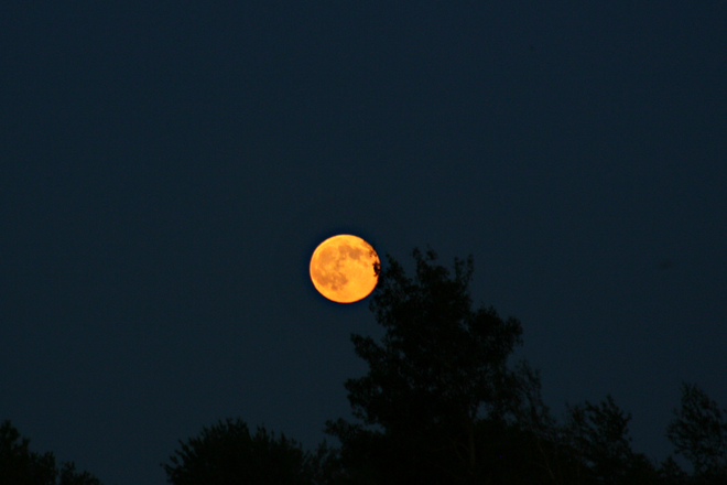beautiful orange moon Berwick, NS