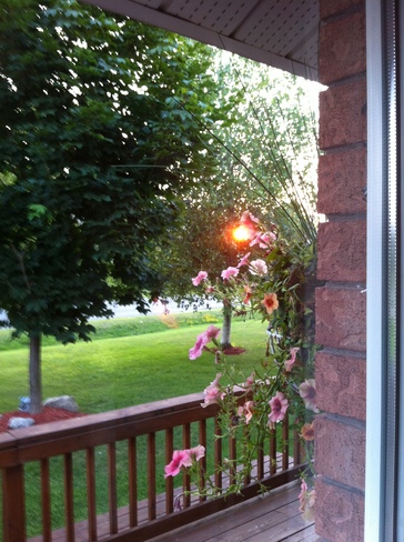 Sunset through our trees in front of house Ramara, ON