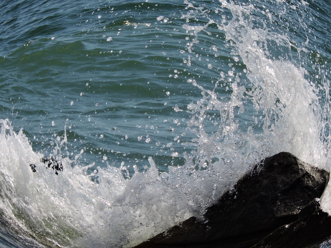Wave with fisheye Burlington, ON