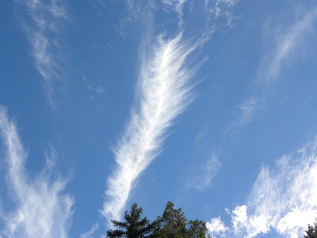 Incredible feather cloud Ladysmith, BC