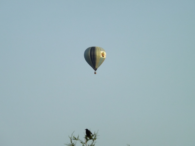 ballooning around the valley. Woodville, NS