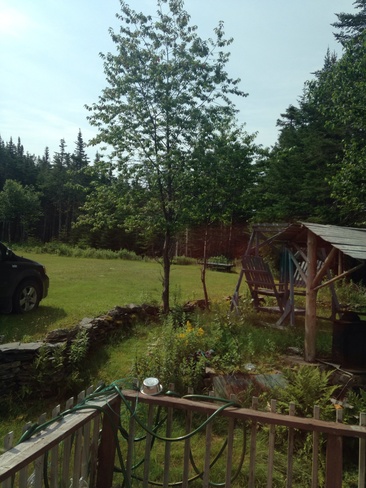 my beautiful cabin backyard! Holyrood, Newfoundland and Labrador Canada