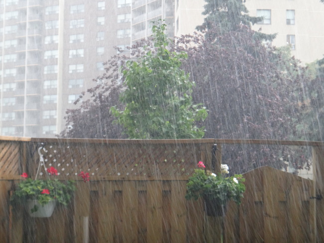 Heavy Rain. Toronto, ON