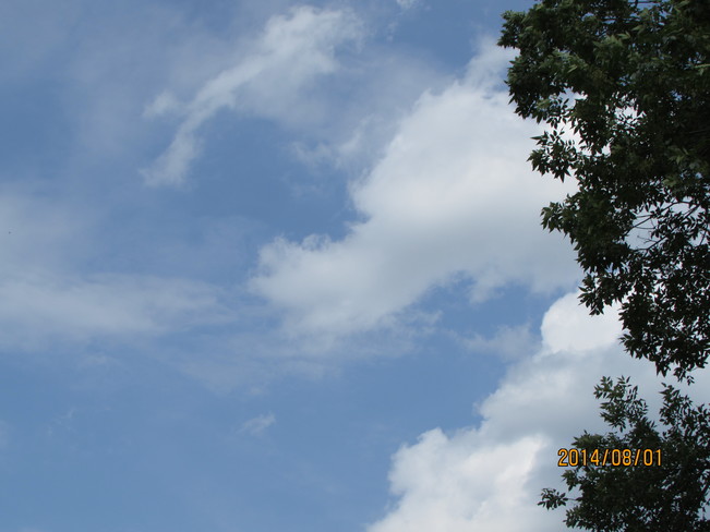 ciel bleu avec nuage enforme de chien Saint-Georges-Est, Saint-Georges, QC
