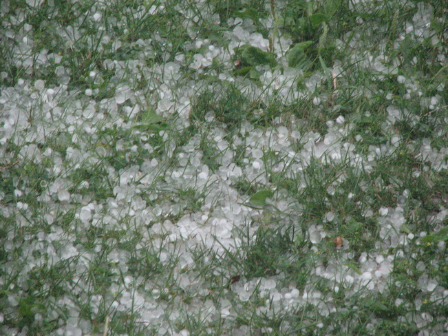 hail North York, Toronto, ON