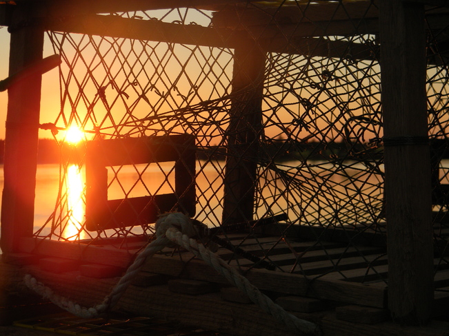 Sunset catch of the day Charlottetown, Prince Edward Island Canada