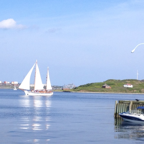 Sailing, sailing....... Halifax, Nova Scotia Canada