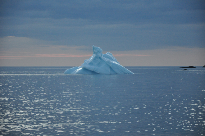 Iceberg Twillingate, NL