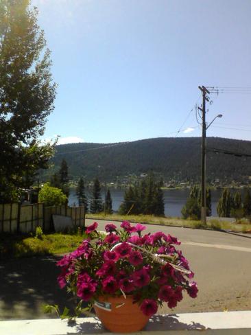 Beautiful Sunny, B.C. Weather! :) Williams Lake, BC