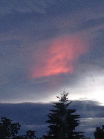 the beautiful night sky Red Deer, Alberta Canada