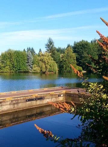 Calm and Peaceful Como Lake, Coquitlam, BC