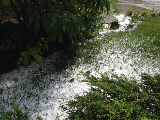 Piles of hail Calgary, AB