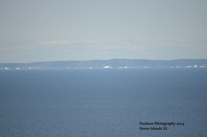 Ice Bergs Newfoundland and Labrador