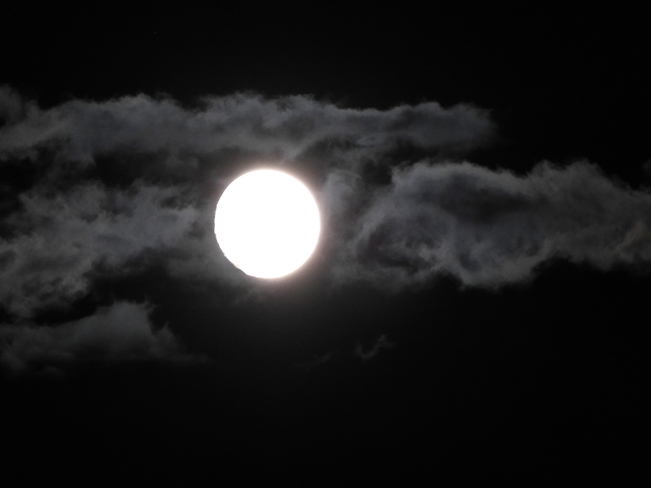 eerie moon Revelstoke, BC