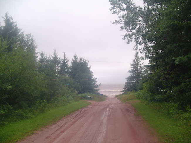 road leading to beach O'Leary, Prince Edward Island Canada