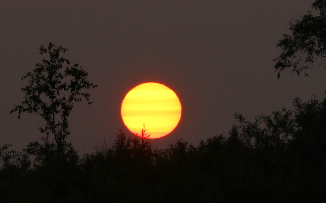 2 Sun Spots On Upper Left Fergus, ON