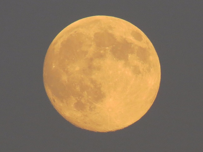 Almost full Moon Mississauga, Ontario Canada