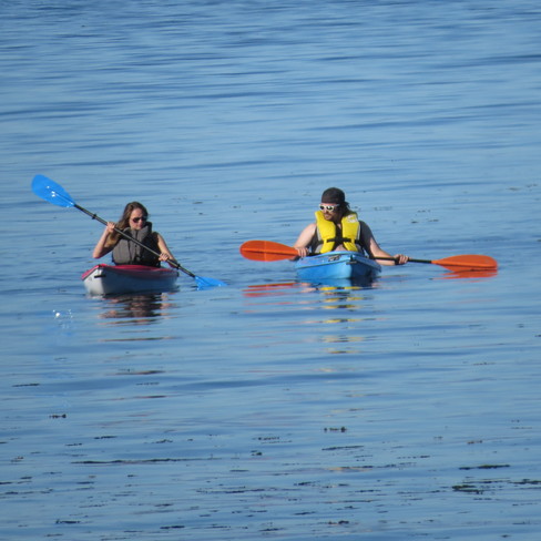 Kayak Stories Beach Campbell River, BC