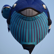 festival montgolfières St-jean sur Richelieu 2014