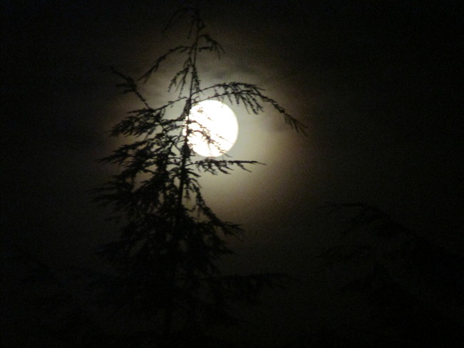 various moon shots Surrey, BC