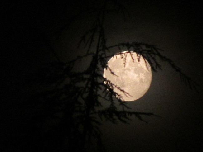 various moon shots Surrey, BC