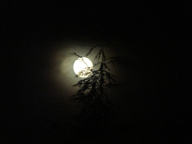 moon light Surrey, BC