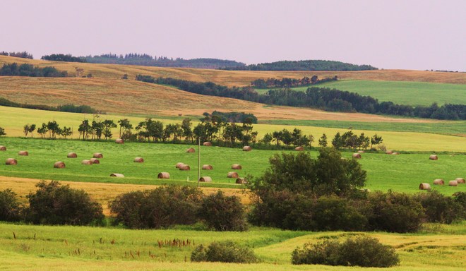 rich farmland Brooks, AB
